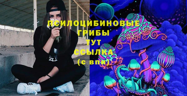 Альфа ПВП Бородино
