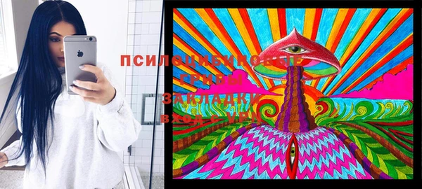2c-b Бугульма