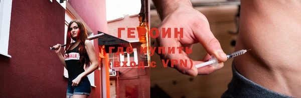индика Богородицк