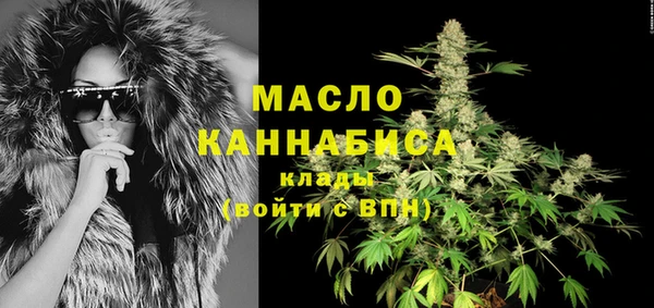 Альфа ПВП Бородино