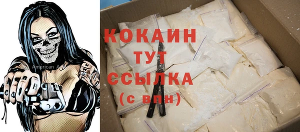 Альфа ПВП Бородино