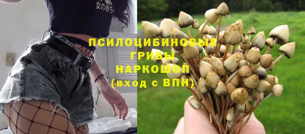 молекула духа Верея