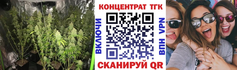 даркнет сайт  Елизово  ТГК Wax 