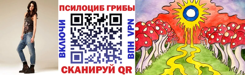 Псилоцибиновые грибы GOLDEN TEACHER Елизово